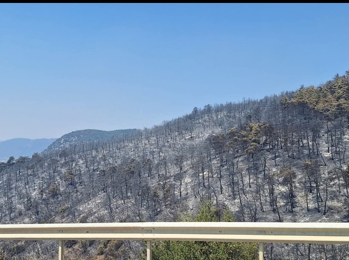 Bursa’nın İpekyolu’na giden rotasında kırmızı kabus Bursa’nın İpekyolu’na giden rotasında kırmızı kabus
