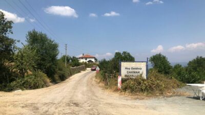 Bursa’nın Çakmak köyündeki yangında yaşanan mucize! Muhtar İbrahim Doğan gözyaşlarıyla anlattı