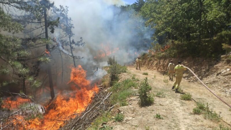 Bursa’daki orman yangınıyla ilgili yeni gelişme Bursa'nın Mustafakemalpaşa ilçesinde dün çıkan orman yangını havadan ve karadan