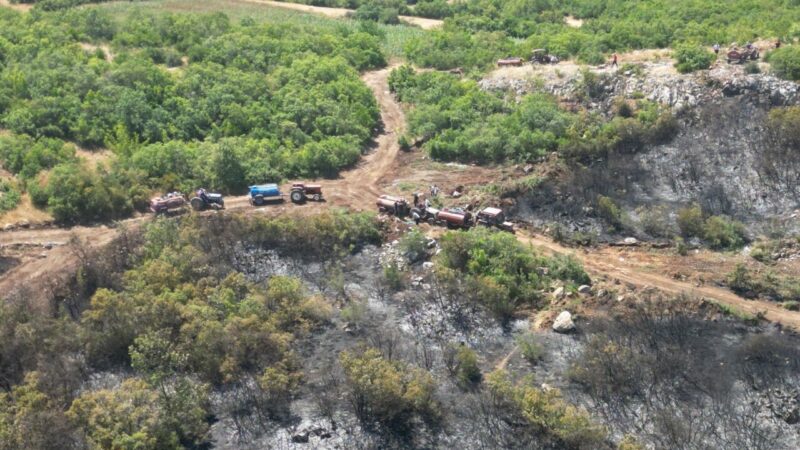 Bursa’daki orman yangınlarında son durum Bursa'nın İnegöl ilçesinde çıkan orman yangını kontrol altına alındı, Mustafakemalpaşa'daki