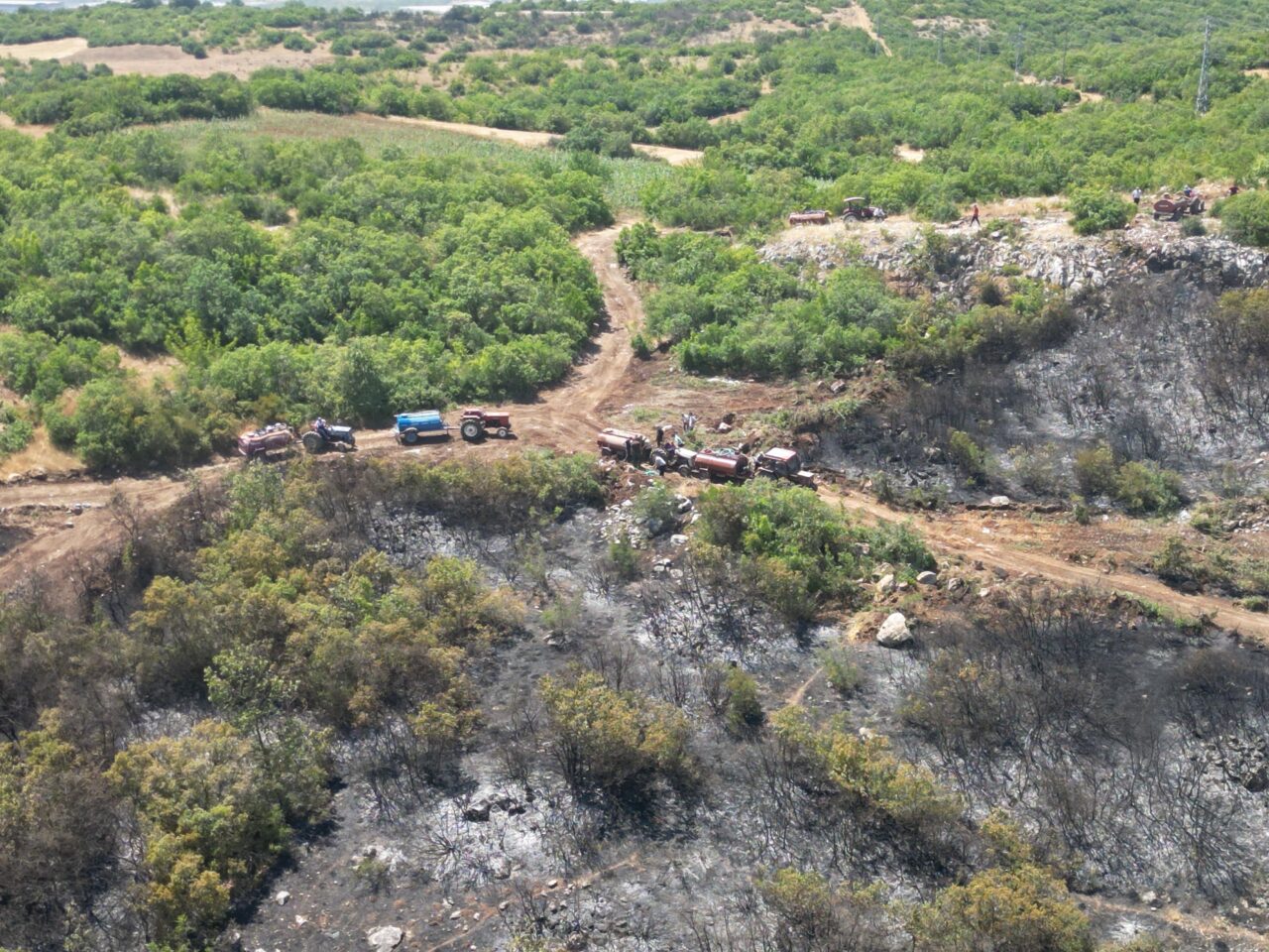 Bursa’daki orman yangınlarında son durum