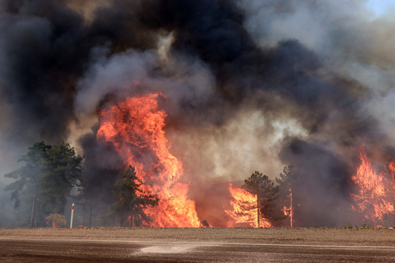 Bursa’nın alevlerle zorlu sınavı! Kapatılan yol yeniden açıldı… Bursa’nın alevlerle zorlu sınavı! Kapatılan yol yeniden açıldı…