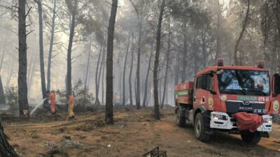 Antalya’da 4 ilçede orman yangını