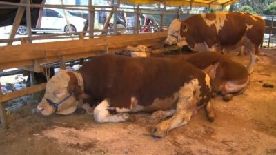 Bakanlık ‘Acele’ koduyla gönderdi; Tüm Türkiye’de ikinci bir emre kadar kapatıldı