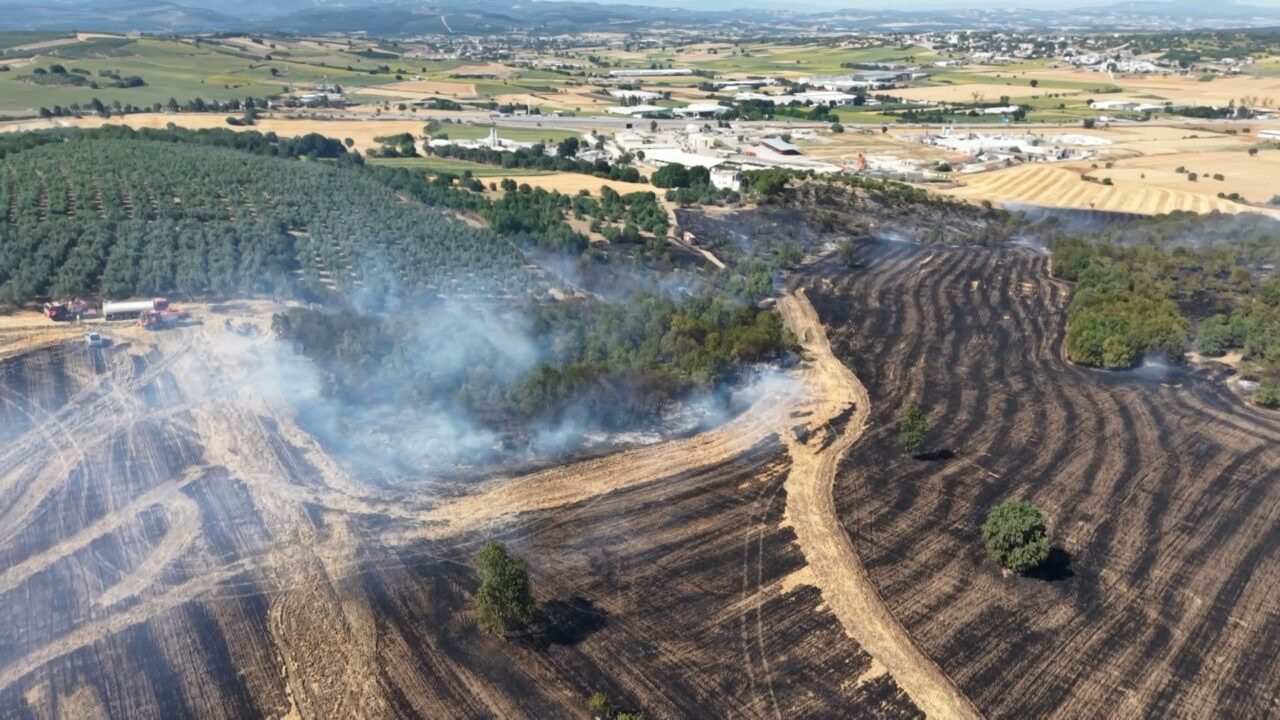 Bursa’nın Nilüfer ilçesinde orman yangını