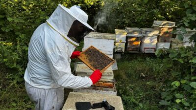 Bursa’da arıcılara büyük destek