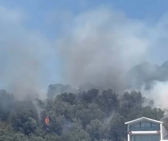 Bursa'nın Mudanya ilçesinde ağaçlık alandan yükselen alevler, sahilde denize girenlerin