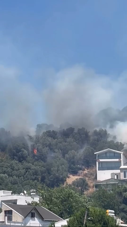 Bursa Mudanya’da orman yangını! Sahilde büyük panik…