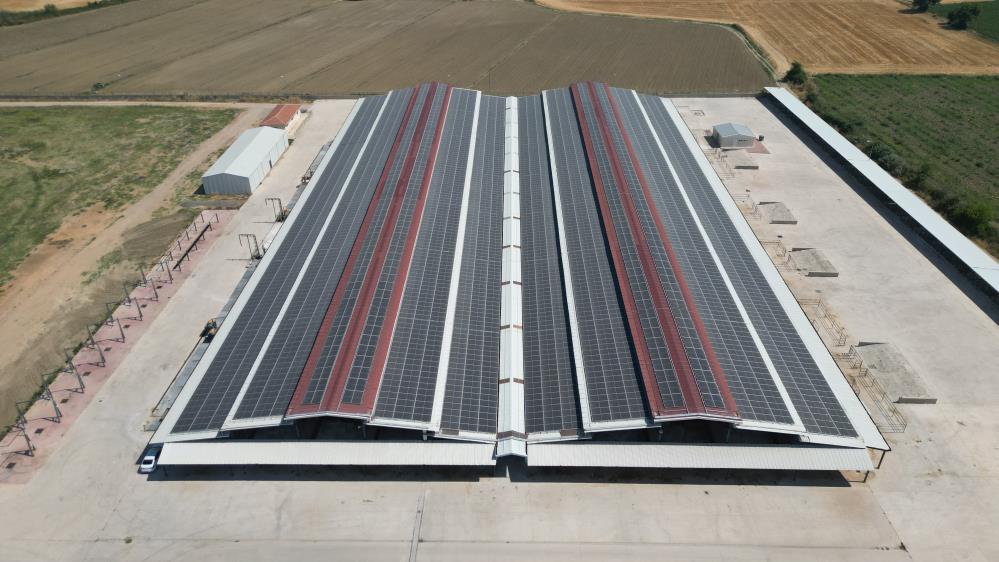 Bursa’da bir belediyenin elektrik borçları sıfırlandı Bursa’da bir belediyenin elektrik borçları sıfırlandı