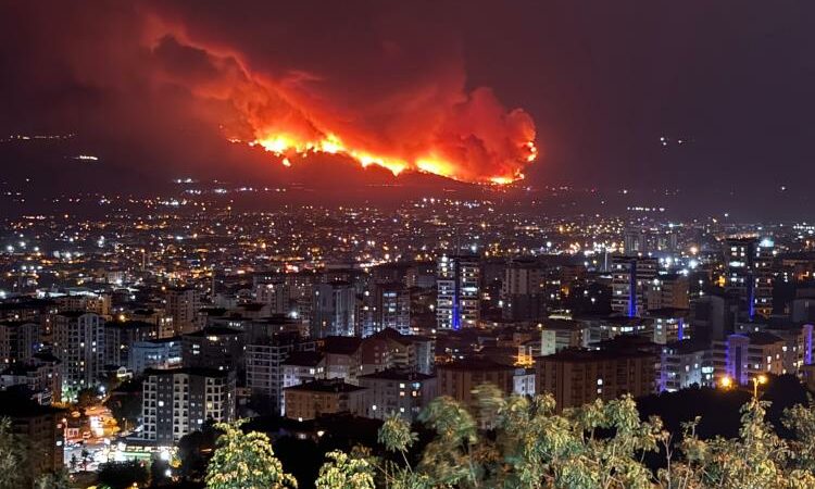 Bursa Büyükşehir Belediyesi, Gürsu'daki orman yangını ile ilgili açıklama yaptı.