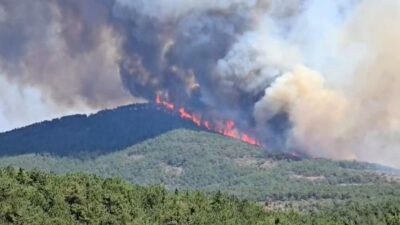 Bursa’daki bu yangın yeniden alev aldı! İki mahalle tahliye ediliyor