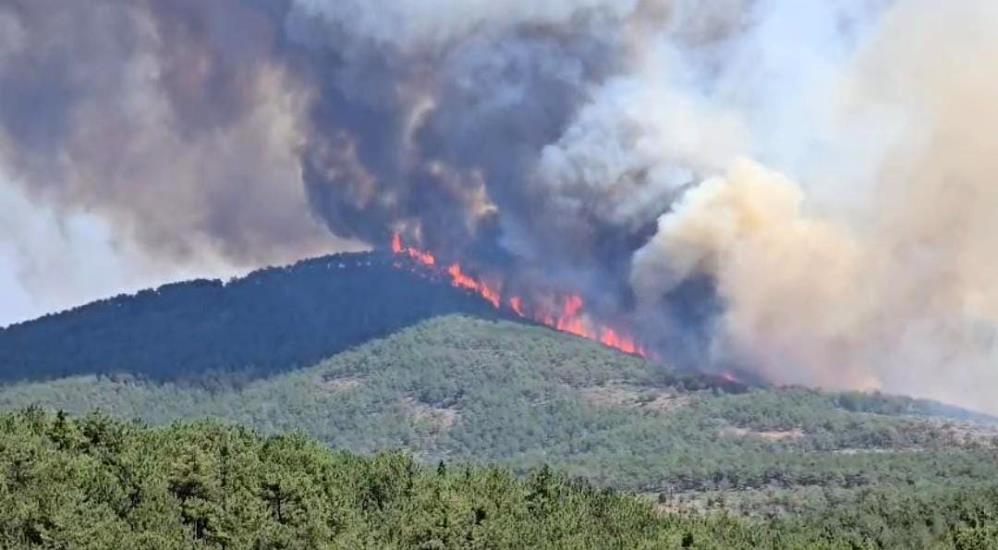 Bursa’daki bu yangın yeniden alev aldı! İki mahalle tahliye ediliyor