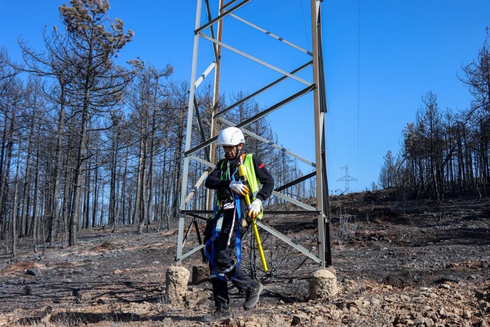 Bursa’daki yangın bölgesinde enerji hatlarının onarımı başladı Bursa’daki yangın bölgesinde enerji hatlarının onarımı başladı