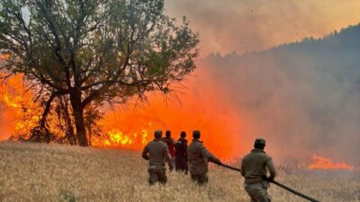 Bakan Yerlikaya açıkladı! 61 orman yangınıyla ilgili 23 gözaltı