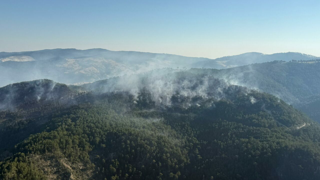 Balıkesir’de orman yangını! Müdahale sürüyor Balıkesir’de orman yangını! Müdahale sürüyor