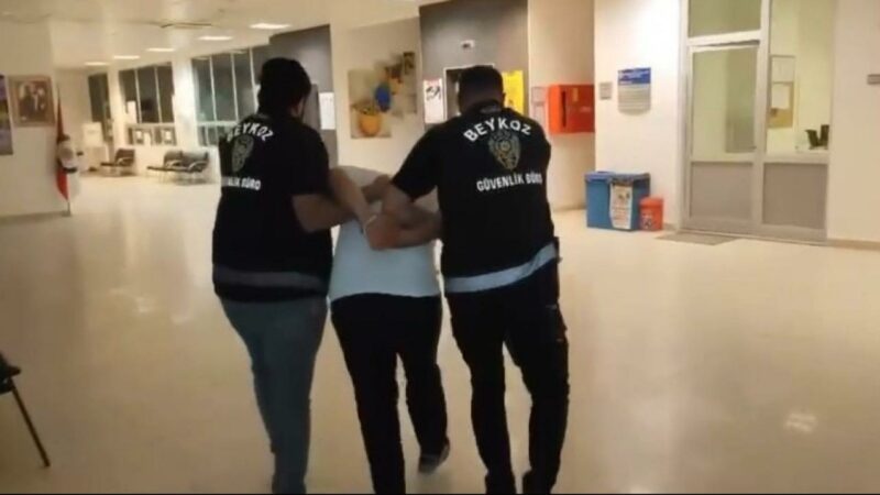 İstanbul Beykoz'da ormanlık alanda çıkan yangına ilişkin 1 şüpheli gözaltına