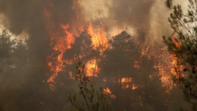 5 ilde alevlerle mücadele