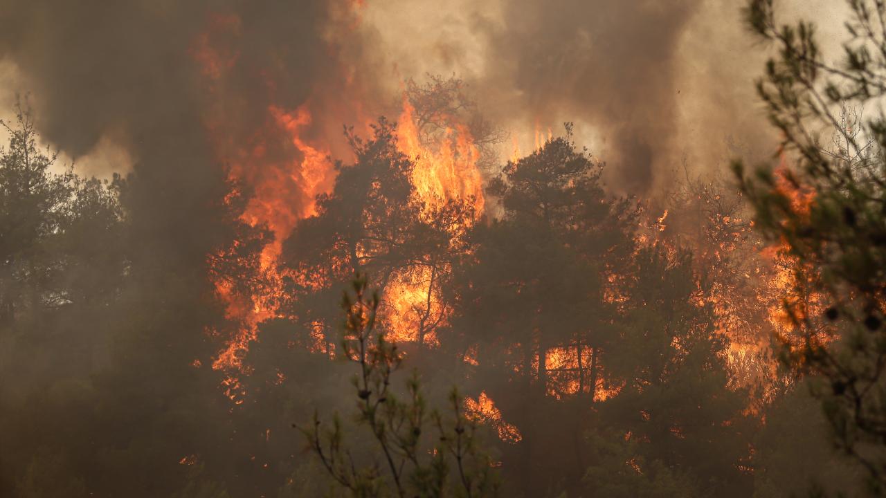 5 ilde alevlerle mücadele 5 ilde alevlerle mücadele