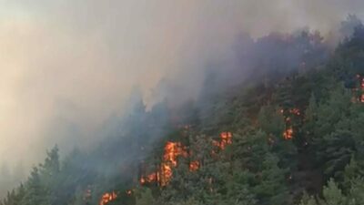 Bir ilde daha orman yangını