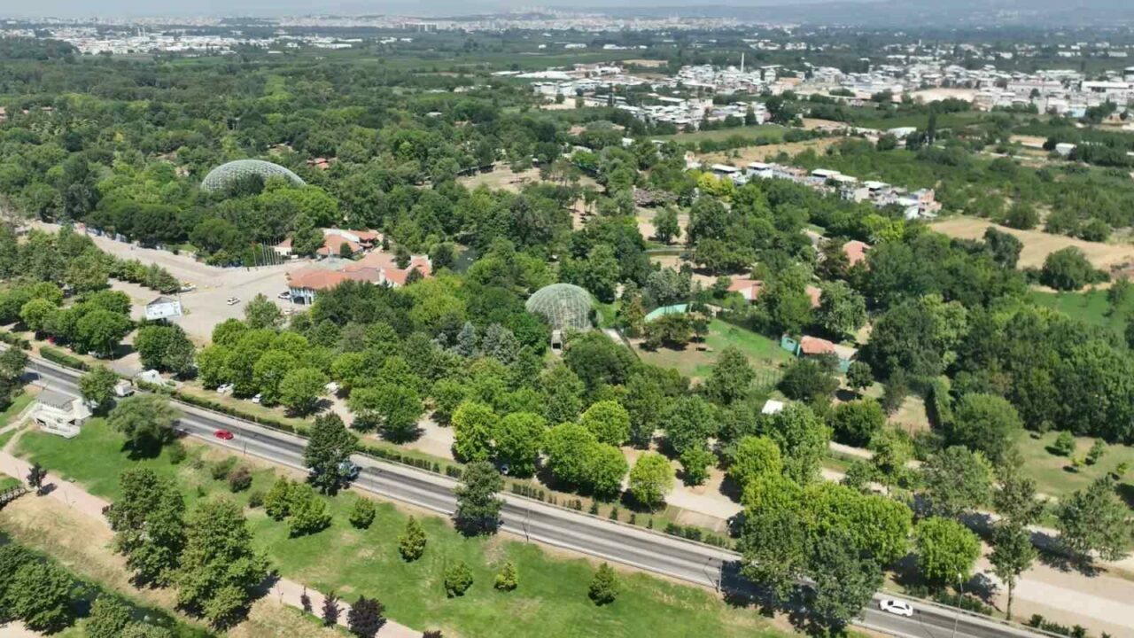 Bursa Hayvanat Bahçesi’nin üyeleri artıyor Bursa Hayvanat Bahçesi’nin üyeleri artıyor