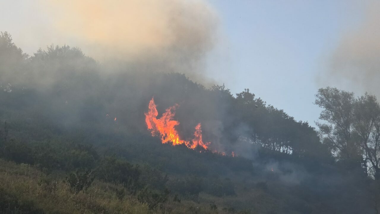 Bursa-Yalova sınırında orman yangını Bursa-Yalova sınırında orman yangını