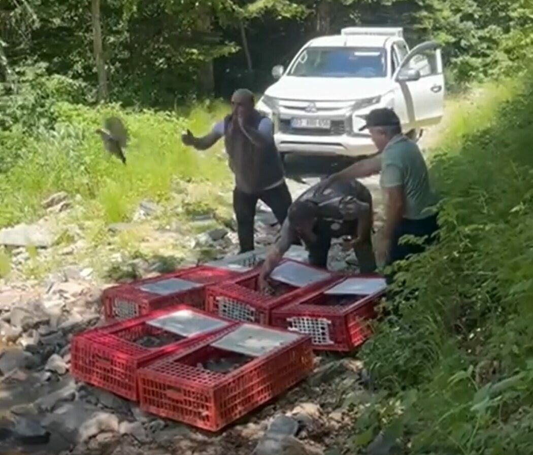 Bursa’da yeni kene savaşçıları doğaya salındı