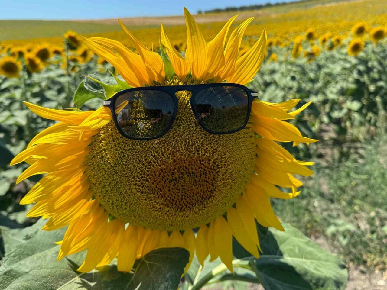 Bursa’da burayı görenler hayran kalıyor! Adeta tablo… Bursa’da burayı görenler hayran kalıyor! Adeta tablo…