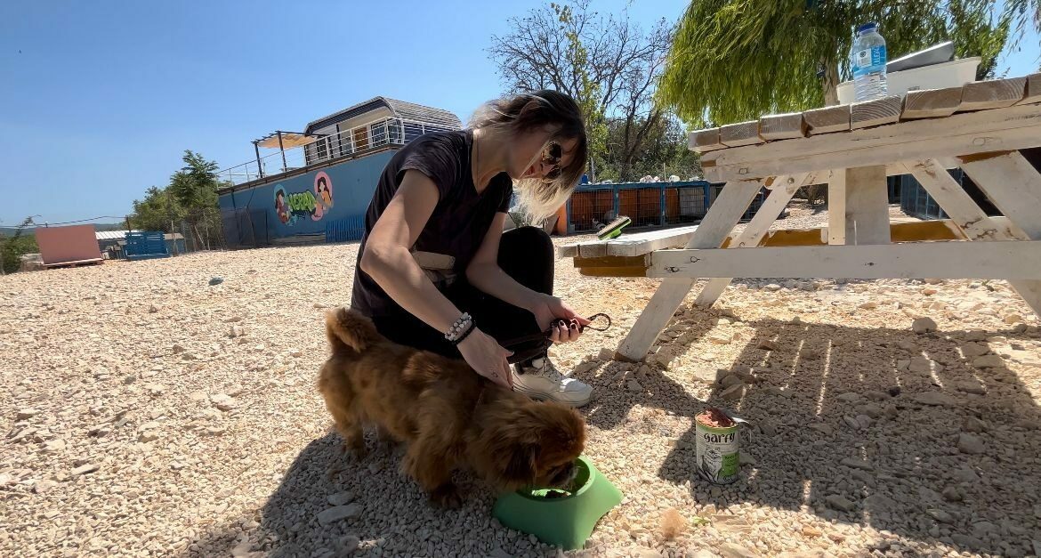 Bursa’da can dostların gönüllü bakıcıları