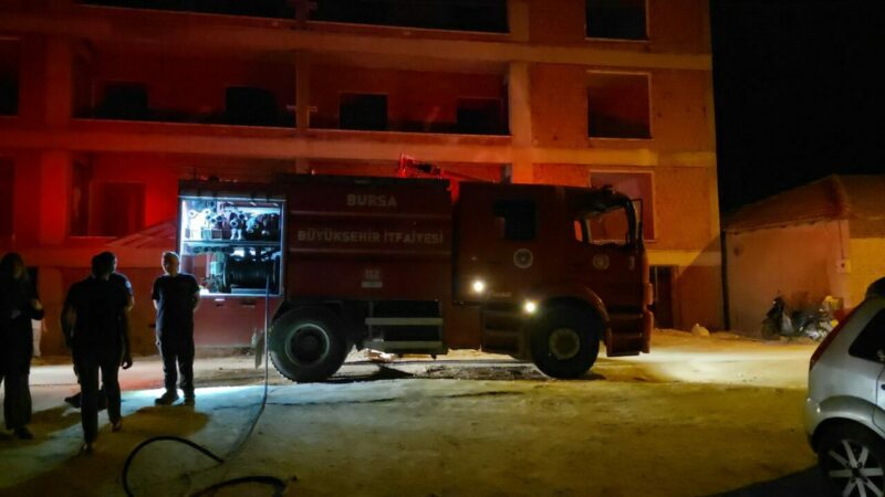 Bursa’da gece yarısı panik Bursa'nın İnegöl ilçesinde, bir evin önünde bulunan ağaçlar yandı.