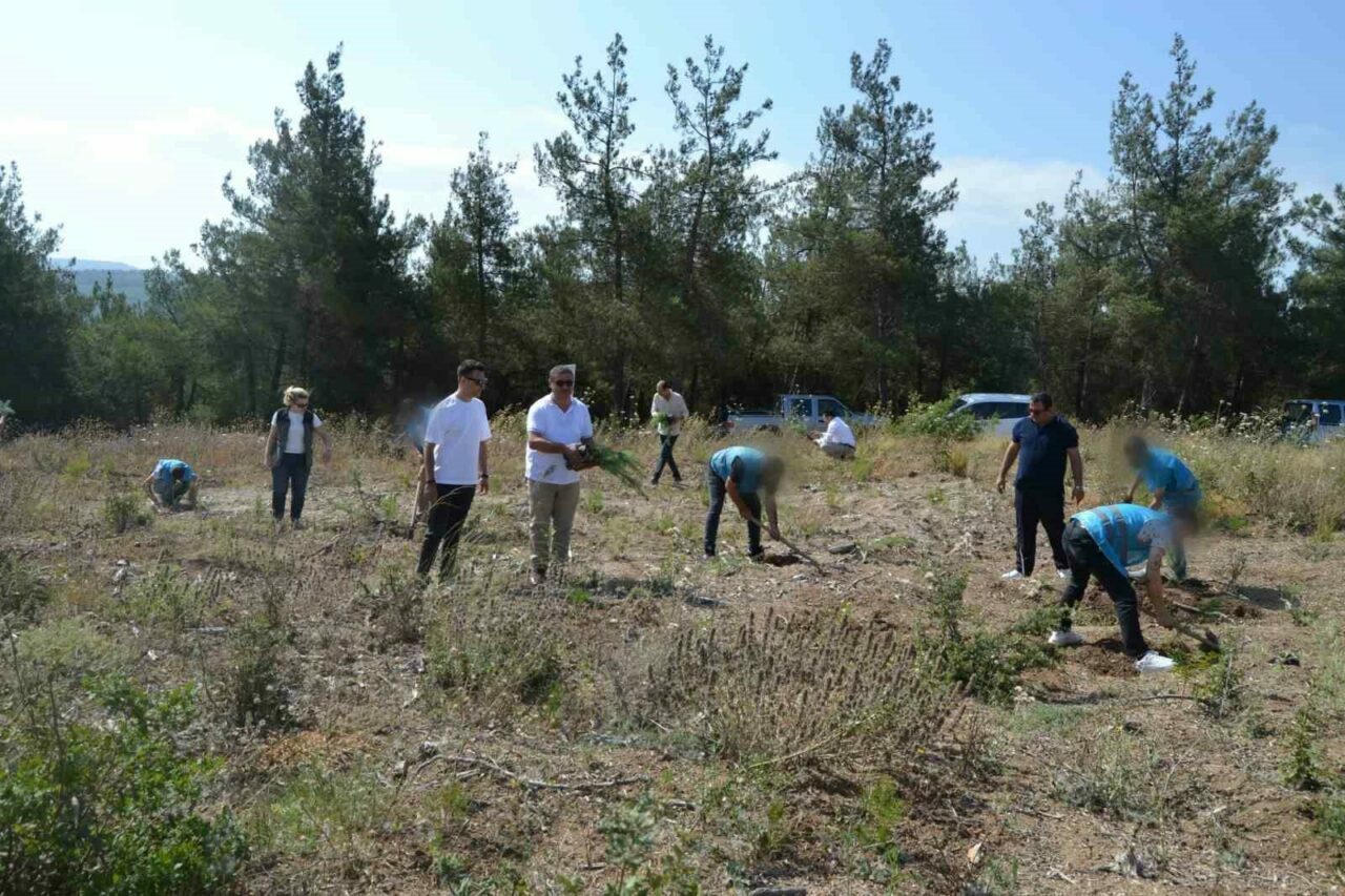 Bursa’da hükümlüler 15 Temmuz Şehitleri anısına fidanları toprakla buluşturdu Bursa’da hükümlüler 15 Temmuz Şehitleri anısına fidanları toprakla buluşturdu