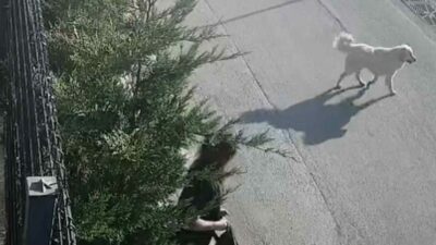 Bursa’da işe giderken dehşeti yaşadı