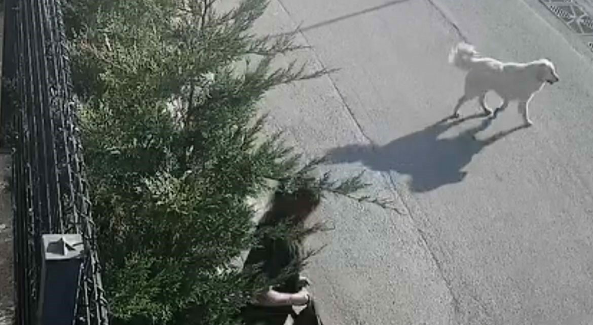 Bursa’da işe giderken dehşeti yaşadı Bursa’da işe giderken dehşeti yaşadı