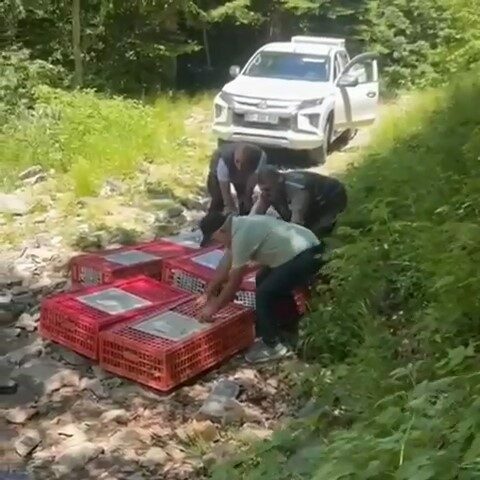 Bursa’da kene ile mücadele timleri doğaya salındı Bursa’da kene ile mücadele timleri doğaya salındı