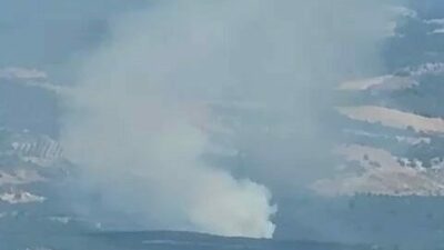 Bursa’da orman yangını