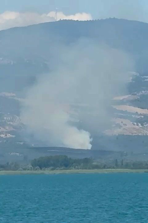 Bursa’da orman yangını