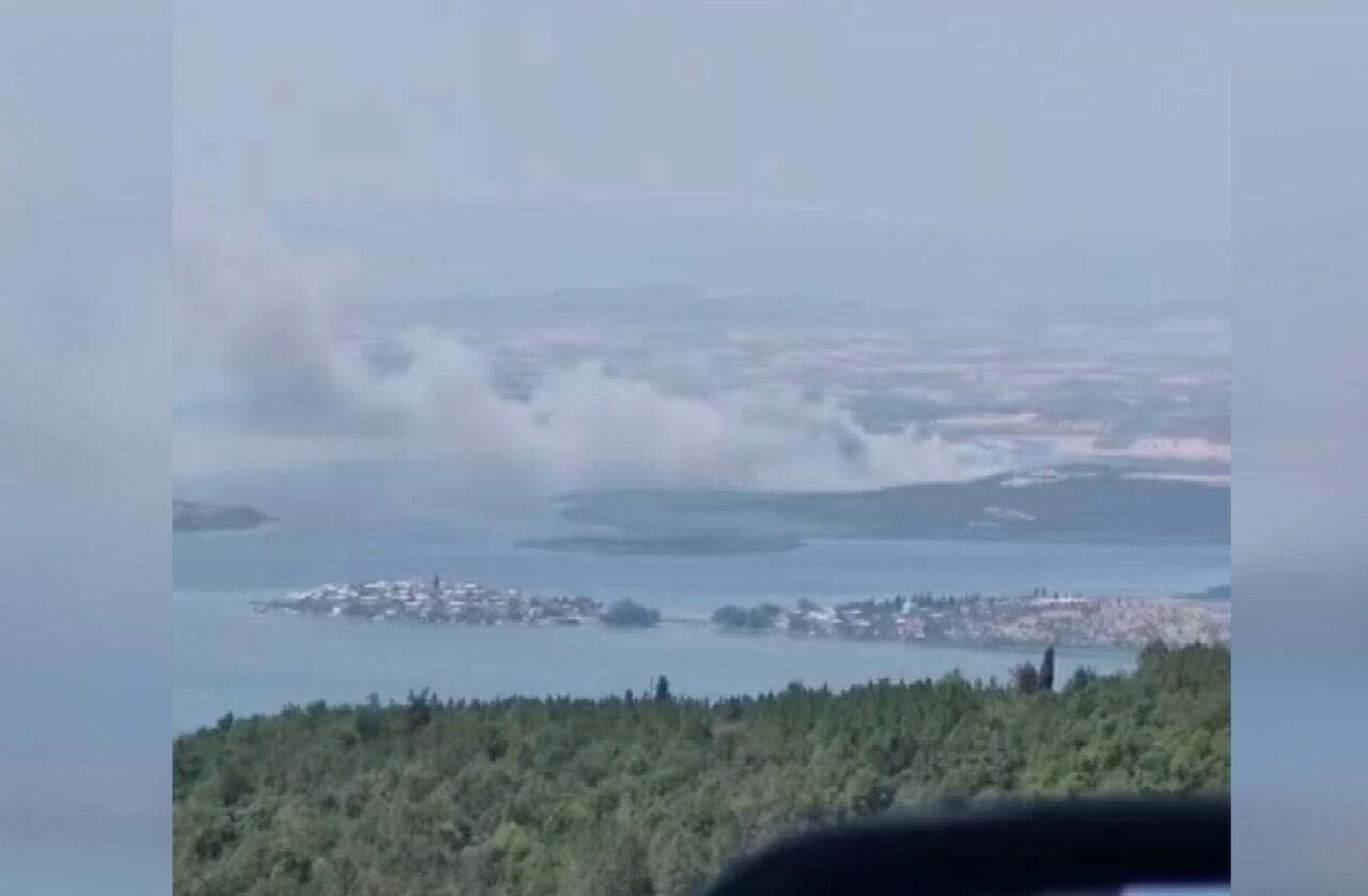 Bursa’da sazlık yangını