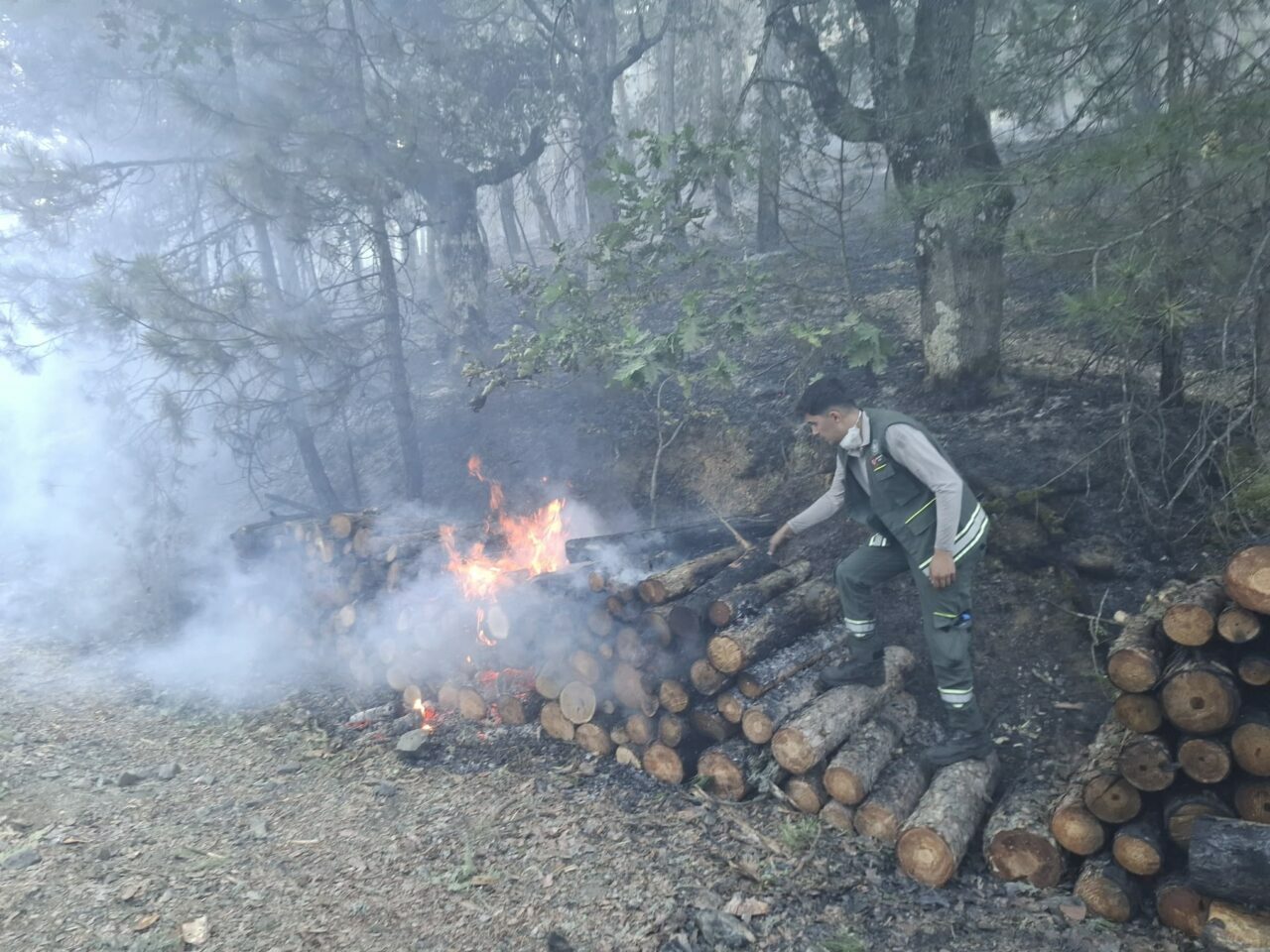 Bursa’daki orman yangınının nedeni belli oldu