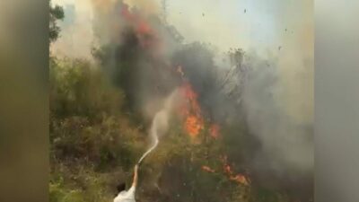 Bursa’daki orman yangınıyla ilgili yeni gelişme