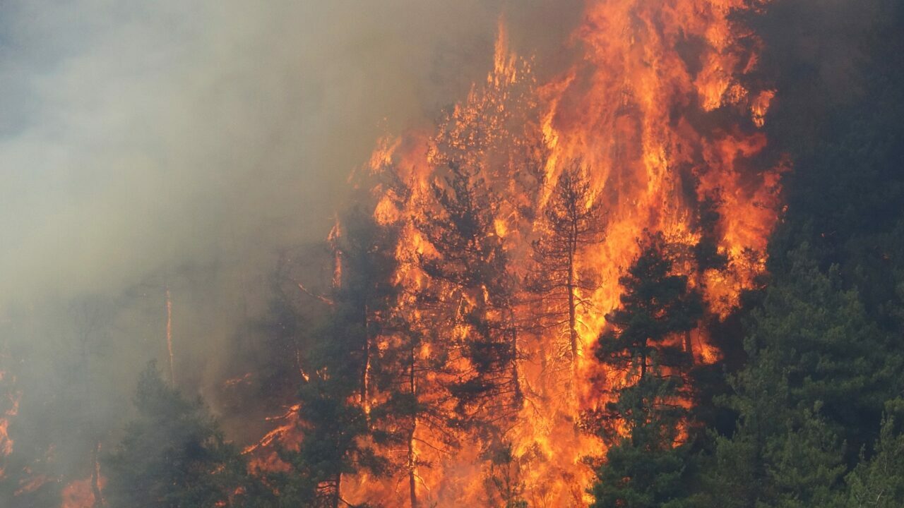 Bursa’da yürek yakan görüntüler!