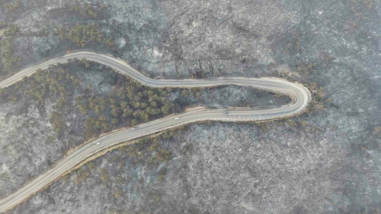 Bursa’daki yangının acı boyutu gün ağarınca ortaya çıktı