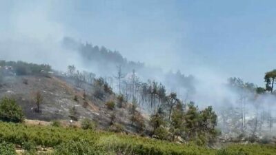Bursa’nın bir ilçesinden daha korkutan haber!
