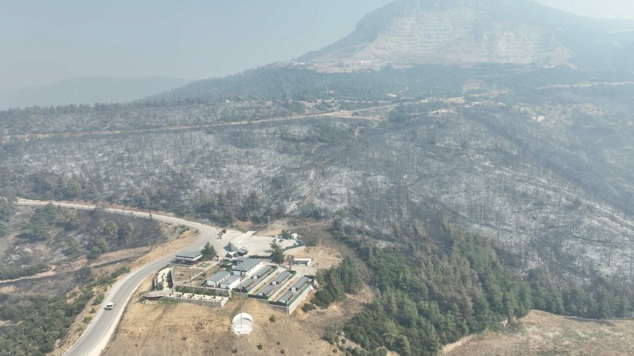 Bursa’nın ciğerleri küle döndü Bursa’nın ciğerleri küle döndü