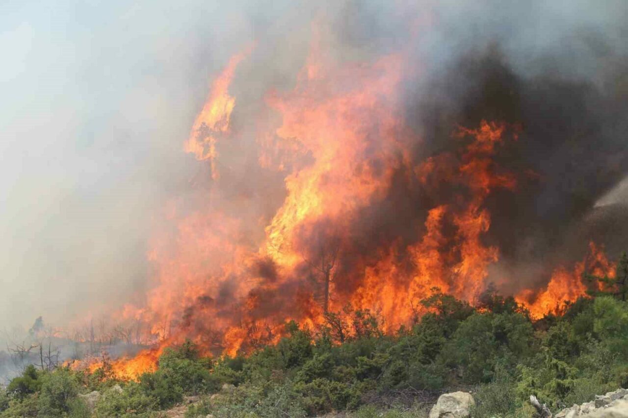 Bursa’nın güneyinde alevler tekrar yükseldi