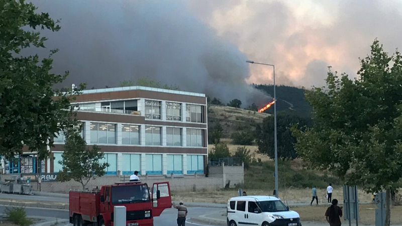 Bursa’nın bir ilçesinde daha orman yangını