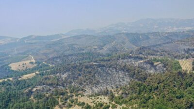 Bursa’dan kahreden görüntüler! Küle döndü