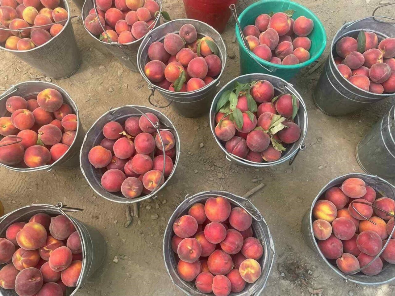 Bursa’nın tescilli markası yüzleri güldürüyor