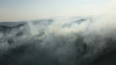 Çankırı’da orman yangını! Müdahale ediliyor