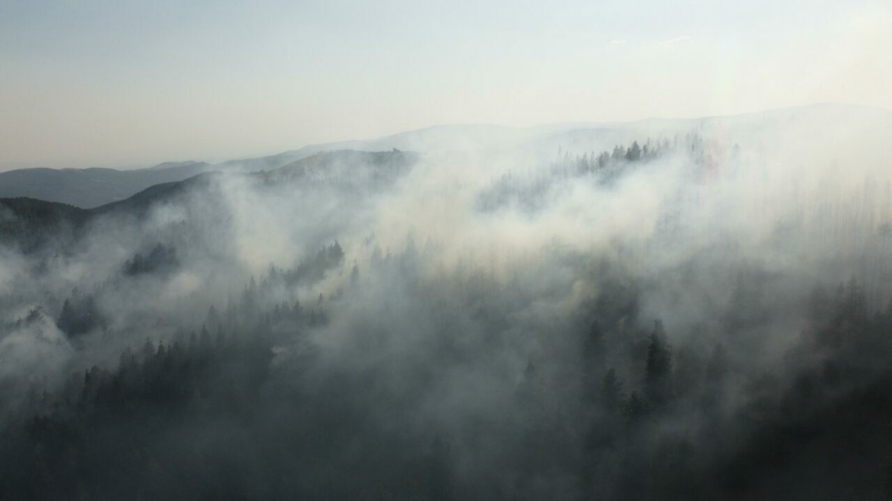 Çankırı’da orman yangını! Müdahale ediliyor Çankırı’da orman yangını! Müdahale ediliyor