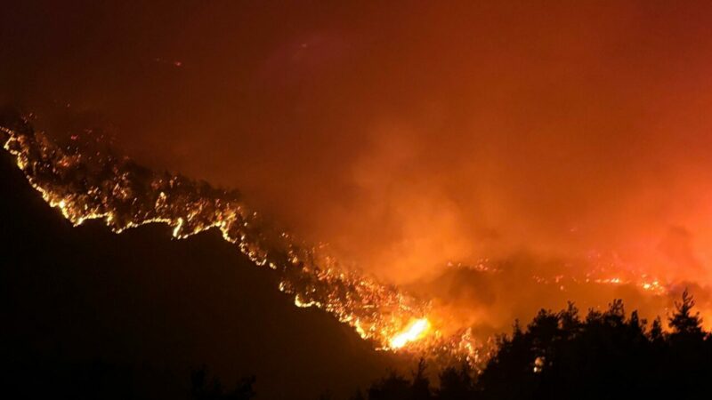Bursa’nın Orhaneli ve Gürsu ilçesinde çıkan orman yangınlarına müdahale ediliyor.