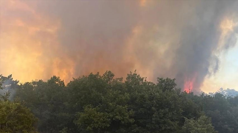 Bursa Nilüfer’de orman yangını! 7 saatlik mücadele… Bursa Nilüfer’de orman yangını! 7 saatlik mücadele…